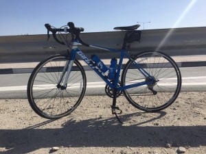 Giant Defy review