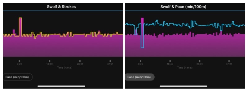 SWOLF-Charts-Explained