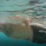 Orca-Neoprene-Buoyancy-Shorts
