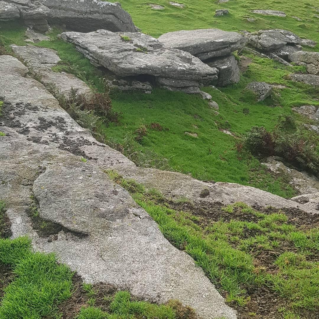 Trail-shoe-running-terrain