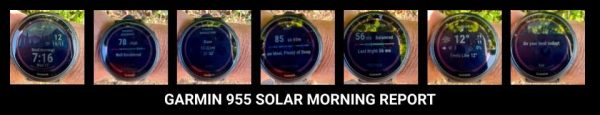 garmin 955 solar morning report