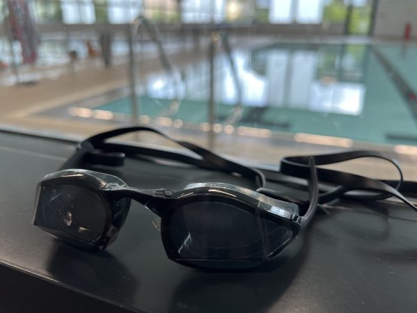TheMagic5 Trivelo review